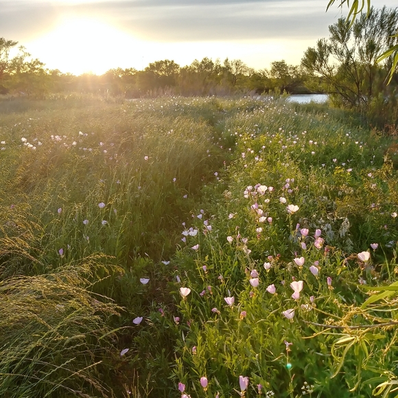 Meet your Posher, Vanessa - Picture 9 of 10